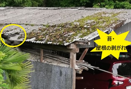 車庫　苔　屋根剥がれ